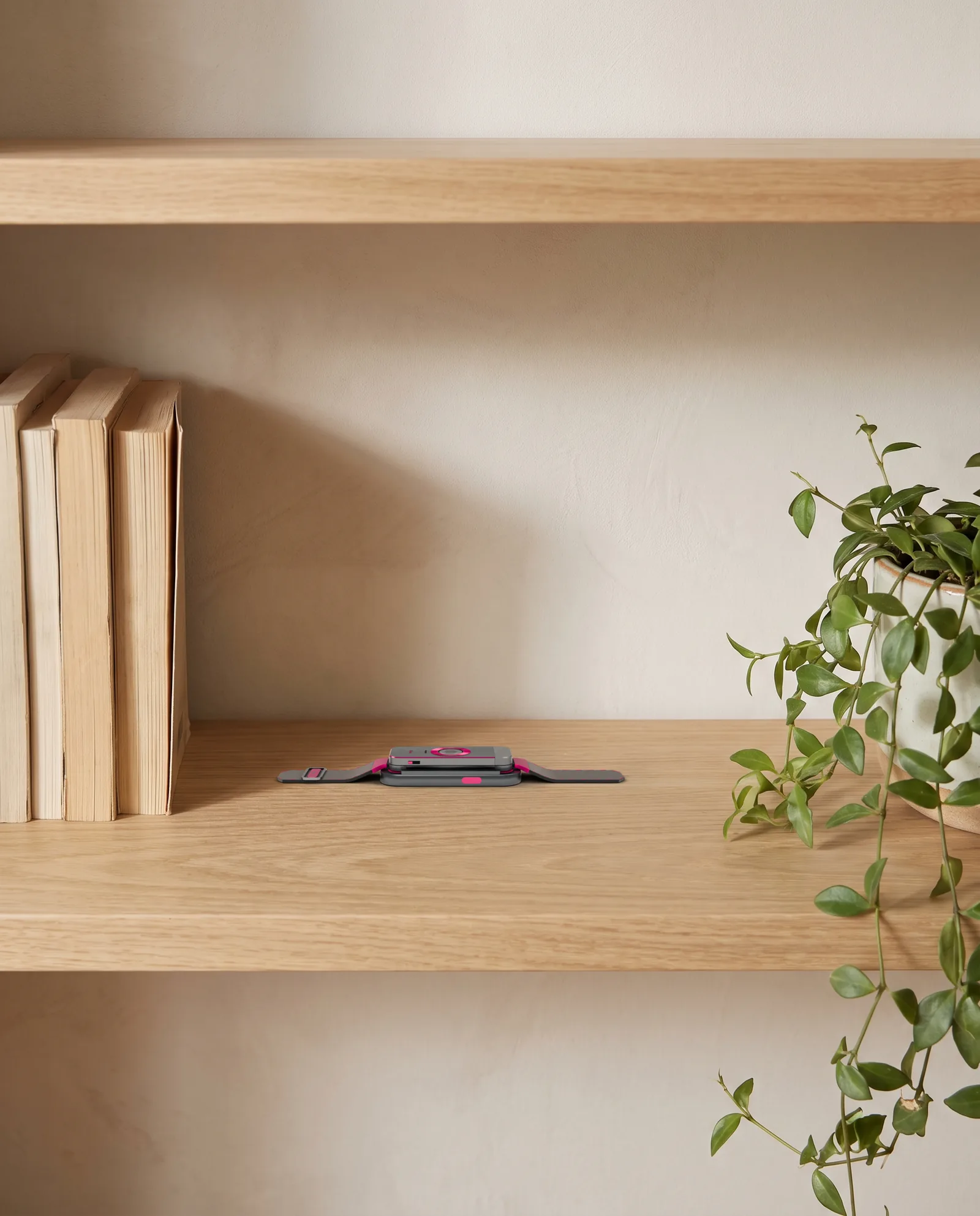 The docked band on a pale oak bookshelf between a short run of books and a trailing plant.